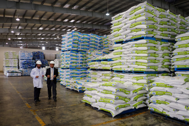 Ông Lê Thành Ánh kiểm tra lô hàng thức ăn chăn nuôi trước khi xuất khẩu tại Nhà máy De Heus Đồng Nai - Ảnh: HỮU THUẬN