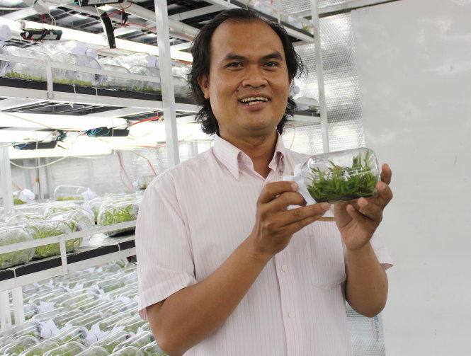 Hiện cơ sở của Phạm Thành Lộc chuyên nuôi cấy mô và cung cấp ra thị trường nhiều loại giống hoa lan rừng quý hiếm - Ảnh: Q.L.
