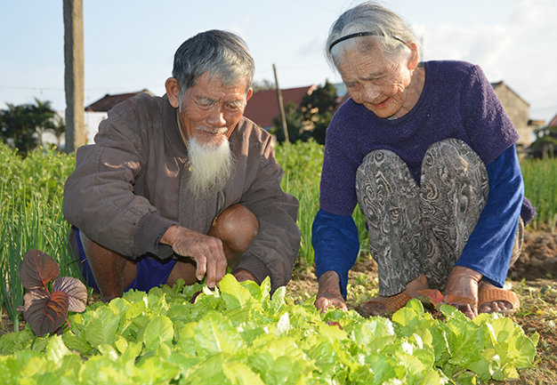 Ở làng rau Trà Quế (xã Cẩm Hà, TP Hội An, Quảng Nam) 500 năm tuổi, bà con nông dân vẫn thường gọi vợ chồng lão nông Lê Sẻ (91 tuổi) và Nguyễn Thị Lợi (84 tuổi) là hai vị “bô lão tình già” - Ảnh: Thanh Ba