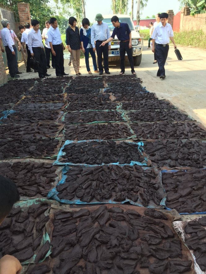 Phơi chì tái chế từ các bình ăcquy cũ tại một làng nghề ở Hưng Yên. Đã có hàng trăm trẻ em ở làng nghề này bị nhiễm chì, ảnh hưởng nghiêm trọng đến sức khỏe - Ảnh: L.Anh