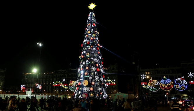 Cây thông Noel rất cao tại Mexico - Ảnh: REUTERS