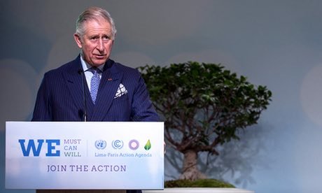 - Ảnh: The Guardian