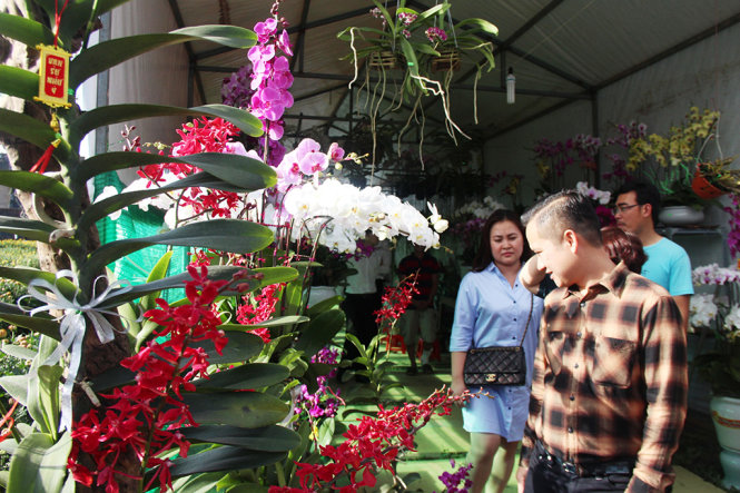 Hoa Đà Lạt hút khách bởi sự đa dạng màu sắc và giá cả vừa phải - Ảnh: MINH AN
