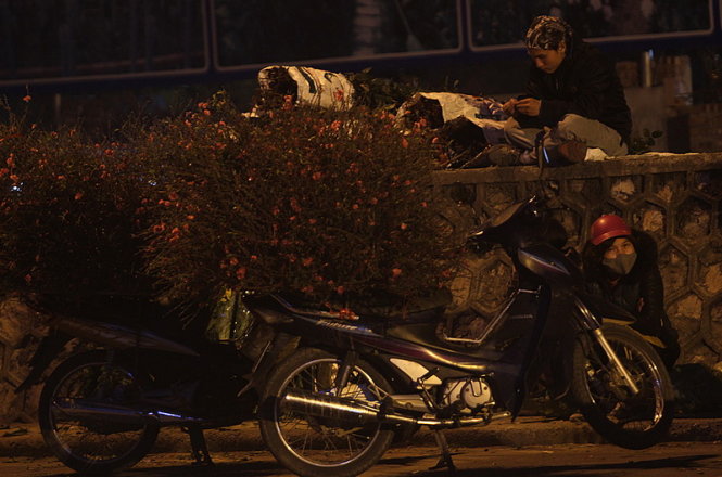 Những xe hàng đào dăm, đào cành bán lẻ vẫn bán lúc 1g sáng tại chợ hoa Quảng An - Ảnh: Nam Trần