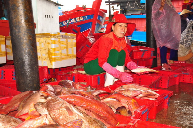 Trong cái lạnh căm và rét mướt, đâu đó vẫn thấy những nụ cười của những người phụ nữ nghèo nơi cảng cá - Ảnh: Trần Mai
