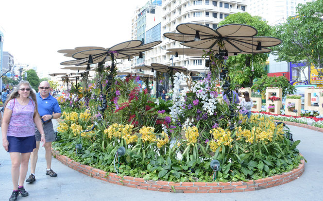 Khu trưng bày hoa lan tại đường hoa Nguyễn Huệ xuân Đinh Dậu 2017 - Ảnh: ĐỨC TRONG