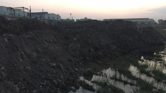 Khoảng 3000m3 chất thải bị đổ trái phép ra ruộng của người dân - Ảnh: ĐỊNH CÔNG