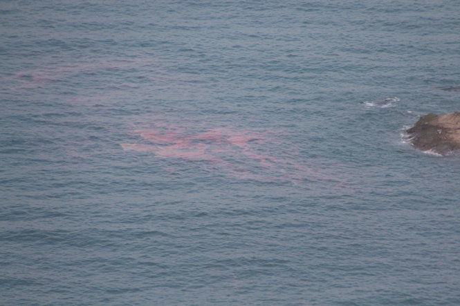 Dải nước đỏ ở vùng biển gần chân đèo Hải Vân, thuộc thị trấn Lăng Cô (huyện Phú Lộc, Thừa Thiên – Huế) vào ngày 22-2 - Ảnh: NHẬT LINH