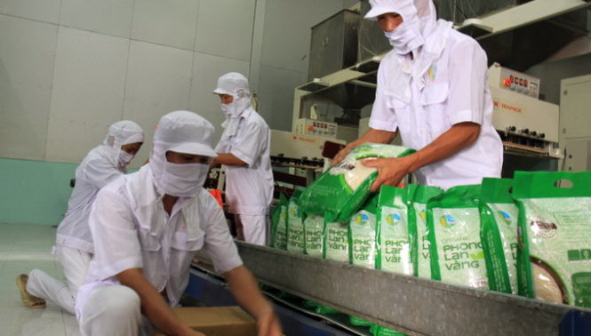 Chế biến gạo xuất khẩu tại một doanh nghiệp ở Tiền Giang - Ảnh: Vân Trường