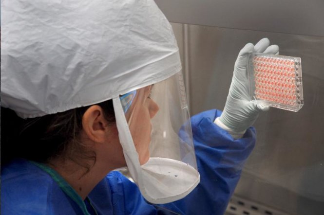 Các mẫu virút cúm gia cầm H7N9 tại một trong những phòng thí nghiệm giấu tên của CDC - Ảnh: Reuters