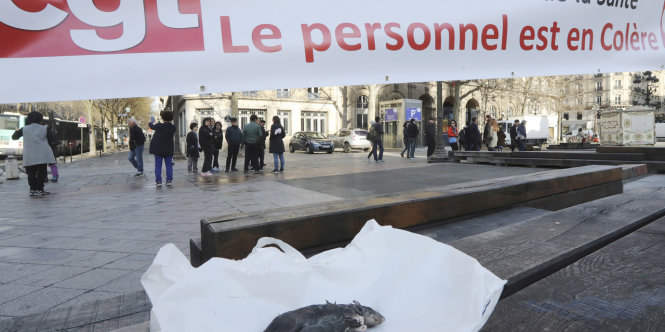 Đội diệt chuột và côn trùng đình công cùng chuột chết để gây áp lực trước tòa thị chính Paris ngày 14-3 - Ảnh: AFP