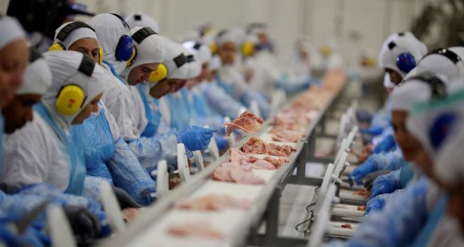 Một xưởng xử lý thịt xuất khẩu của Brazil. Mối lo nhất với chính quyền Brazil là nếu không xử lý tốt khủng hoảng thì ảnh hưởng mất việc sẽ gây khó khăn cho xã hội - Ảnh: AFP