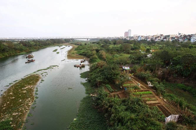 Bãi bồi ven sông Hồng gần Cầu Long Biên (Hà Nội) được nhiều người dân tận dụng để canh tác và sinh sống - Ảnh: Nguyễn Khánh