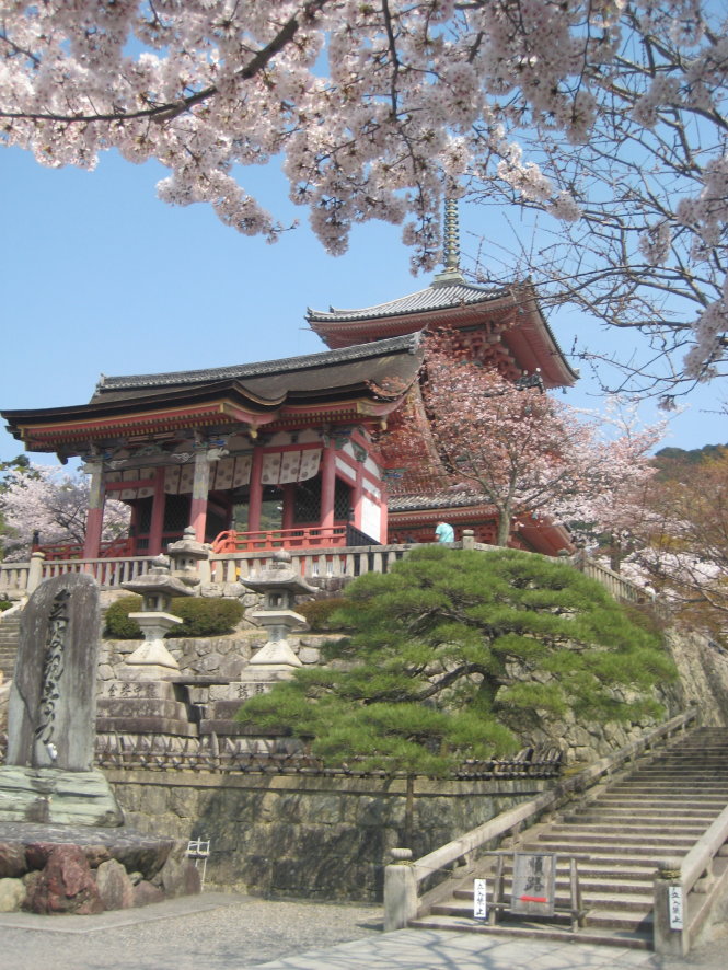 Hoa anh đào ở cố đô Kyoto, Nhật Bản-N.C.L.