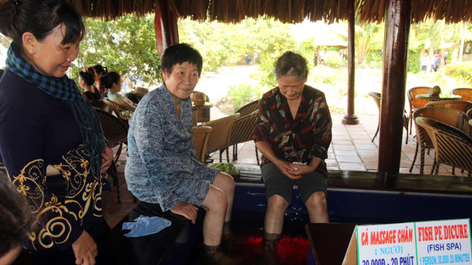 Nhiều khách du lịch đang massage cá tại Khu du lịch cồn Phụng, tỉnh Bến Tre sáng 1-5 - Ảnh: Mậu Trường