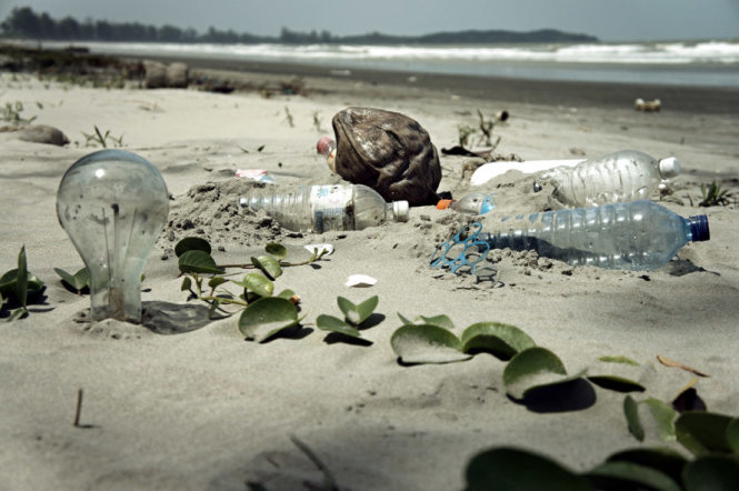 Chai nhựa và nhiều rác thải khác trên bãi biển đảo Henderson - Ảnh: inhabitat.com