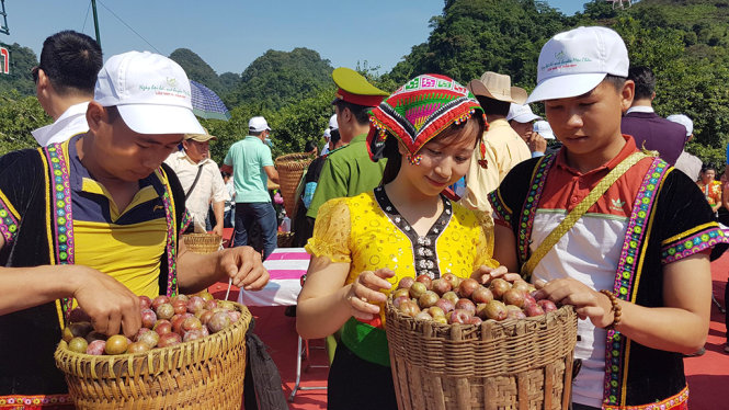 Một đội thi đem mận để tham gia lễ hội - Ảnh: Lê Hồng Thái