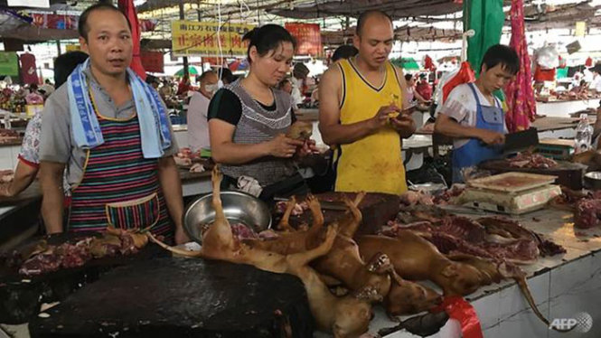 Thịt cầy được bày bán thoải mái ở lễ hội thịt cầy Ngọc Lâm - Ảnh: AFP