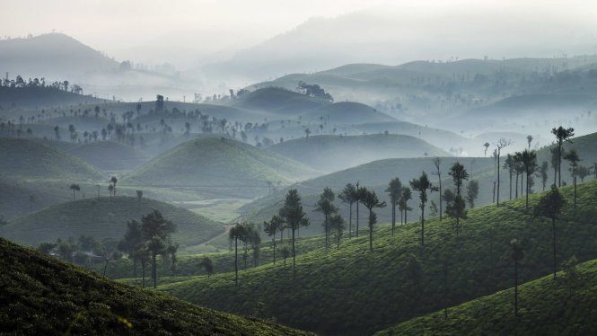 Valparai, a lesser known scenic spot in India's Tamil Nadu region, is located 3,500 feet above sea level and is often shrouded in a gentle mist first thing in the morning © Getty Images