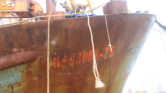 Tàu cá vỏ thép của ngư dân Trần Văn Thượng ở xã Nghi Sơn, huyện Tĩnh Gia (Thanh Hóa) thường xuyên bị hư hỏng, đang nằm ở vịnh Nghi Sơn - Ảnh: HÀ ĐỒNG