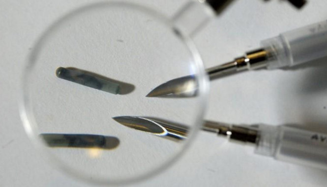 Loại chip RTID và ống tiêm dùng để cấy vào người - Ảnh: Reuters