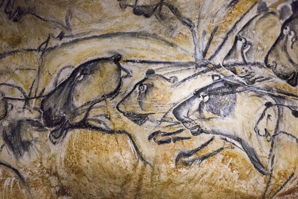 Một bản mô phỏng các bản vẽ thời tiền sử khắc họa những chú sư tử trên tường một khu vực của dự án Cavern of Pont-d'Arc ở thị trấn Vallon Pont d'Arc, miền nam nước Pháp được chụp lại trong một chuyến tham quan dành cho báo chí ngày 8-4-2015. Dự án Cavern of Pont-d'Arc là một hang động mô phỏng di tích hang động Decorated Cave of Pont-d'Arc, còn được biết đến với tên gọi Grotte Chauvet, nằm trên cao nguyên đá vôi của sông Ardèche ở thị trấn Vallon Pont d'Arc, nơi phát hiện ra hàng ngàn bức vẽ, được xem là các tác phẩm nghệ thuật đầu tiên của thế giới. Hang động thật đã được UNESCO công nhận là Di sản quốc tế. Hang động mô phỏng có diện tích 3.000 mét vuông (hang động thật có diện tích 8.000 mét vuông) này sẽ trưng bày các bản mô phỏng lại các bản vẽ và điêu khắc ở hang động thật. Dự án khai trương ngày 10-4 và sẽ mở cửa cho khách tham quan vào ngày 25-4 - Ảnh: Robert Pratta