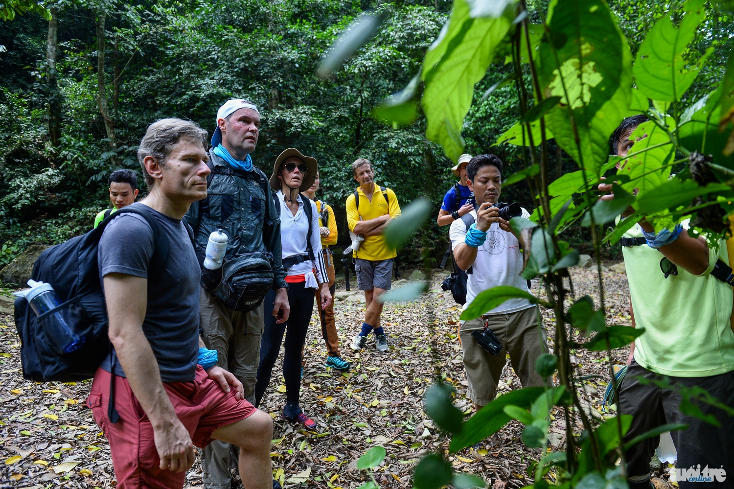 Các đại sứ nghe hướng dẫn viên giới thiệu các loại cây độc cần tránh chạm trên đường thám hiểm - Ảnh: Thuận Thắng