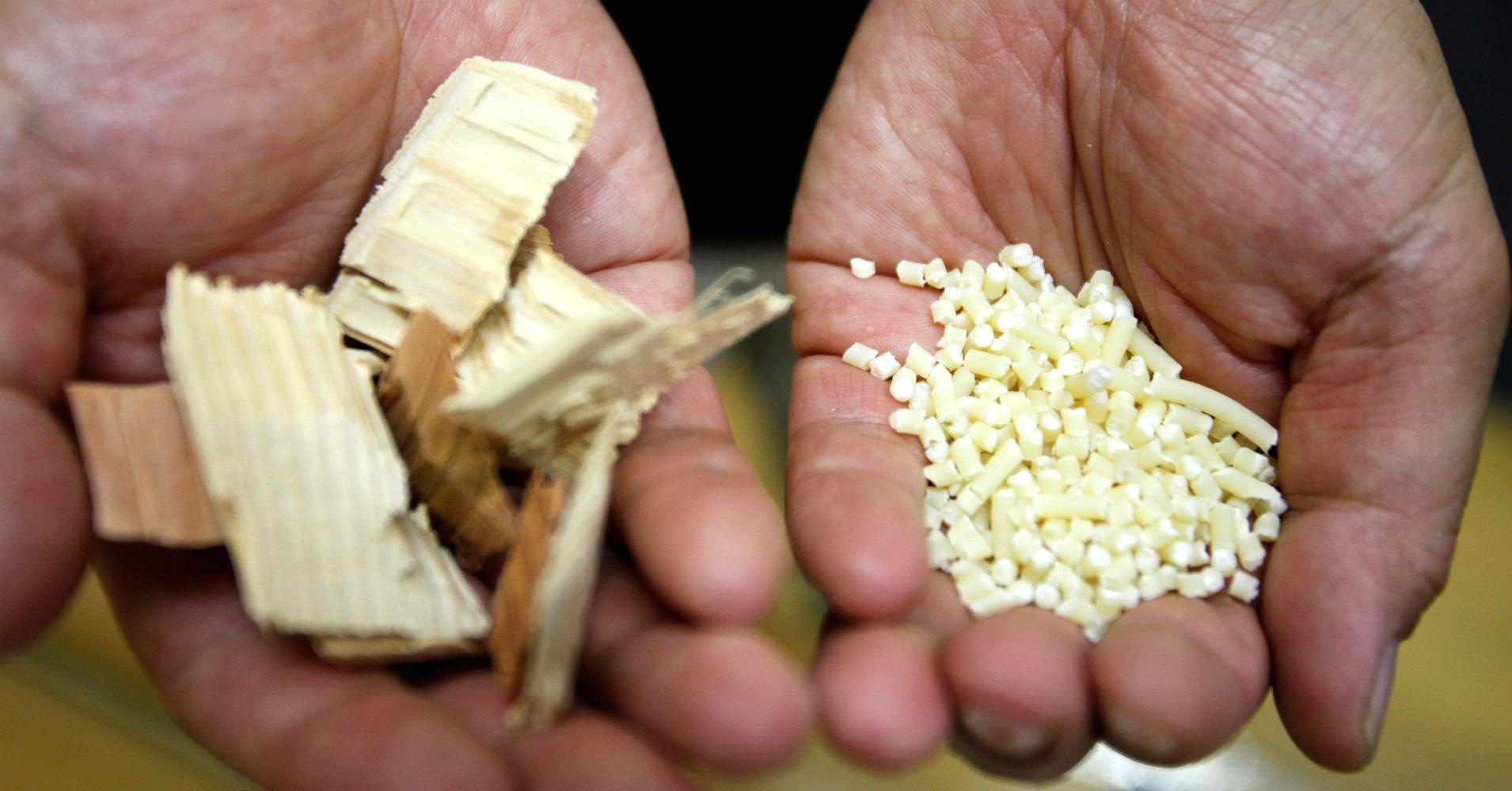Bột gỗ và sợi được xử lý hoá học trước khi đưa vào quy trình biến thành sợi nano cellulose - Ảnh: Reuters