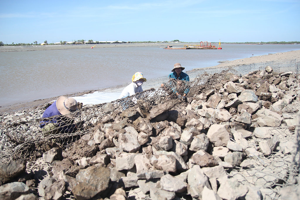 Công nhân làm mái kè chống sạt lở trên luồn vào sông Hậu, đoạn qua tỉnh Trà Vinh - Ảnh: Mậu Trường