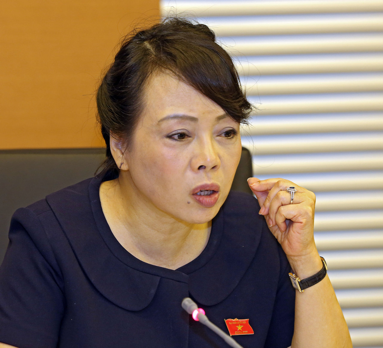 Bộ trưởng Bộ Y tế Nguyễn Thị Kim Tiến - Ảnh: Việt Dũng