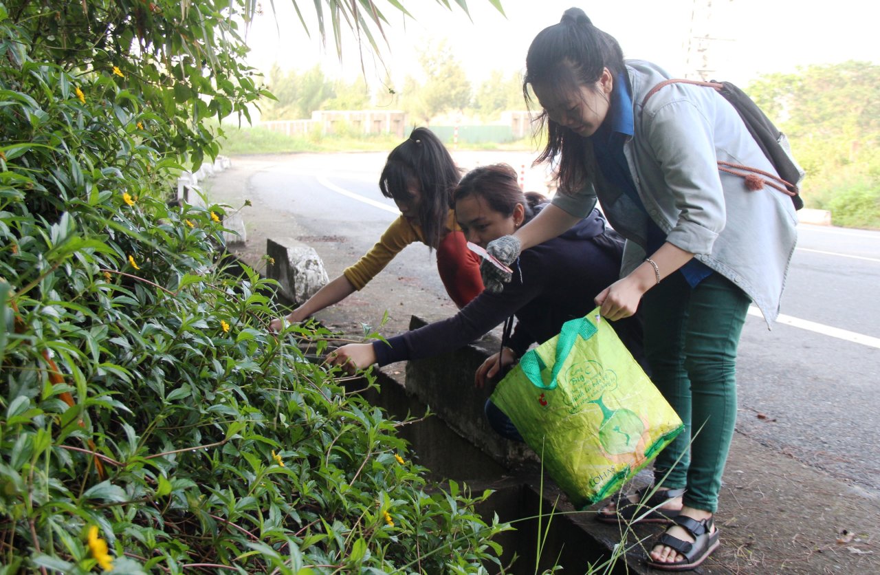 Một nhóm bạn trẻ nhặt rác trên tuyến đường đi lên khu du lịch tâm linh chùa Linh Ứng (Q.Sơn Trà, TP Đà Nẵng) - Ảnh: Phan Thành