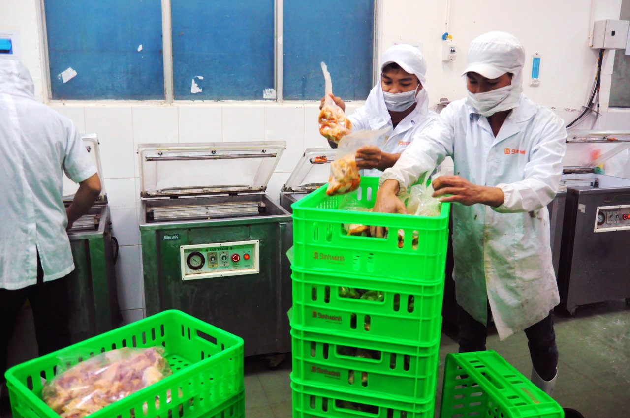 Đóng gói gà thành phẩm tại Công ty chăn nuôi Bình Minh (Đồng Nai)  - Ảnh: A Lộc