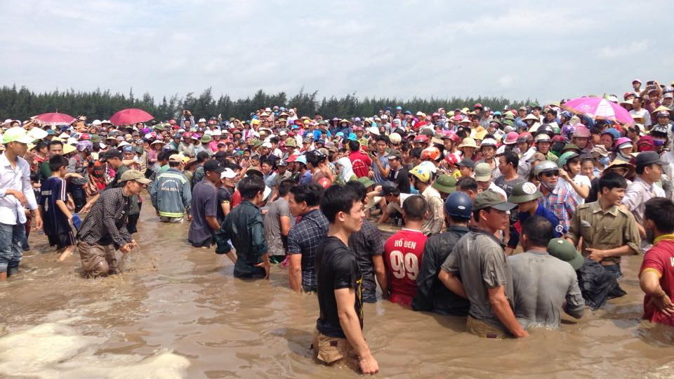 Hàng trăm người tham gia cuộc giải cứu con cá voi tại vùng biển xã Diễn Thịnh huyện Diễn Châu - Ảnh: Doãn Hòa