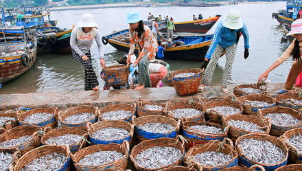 Trăm năm thăng trầm nước mắm Phú Quốc