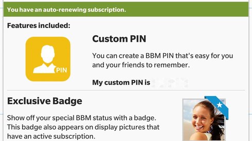 Tùy chọn mã PIN gồm số và chữ với phí 1,99 USD/tháng - Ảnh: Softpedia