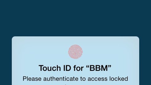 Hỗ trợ Touch ID bảo mật trên iPhone  - Ảnh: Softpedia