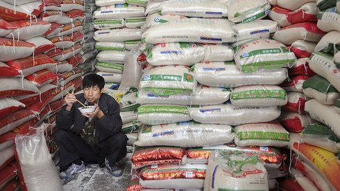 Gạo Việt Nam xuất khẩu: Âu lo trước quá nhiều ẩn số