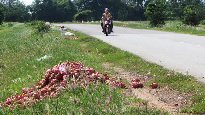 Nhiều người đi đường băn khoăn không hiểu sao trái cây đặc sản của Bình Thuận lại bị đem bỏ nhiều như vậy - Ảnh: Nguyễn Nam