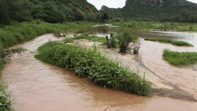 Nước sông Sonora bị ô nhiễm nghiêm trọng - Ảnh: AP