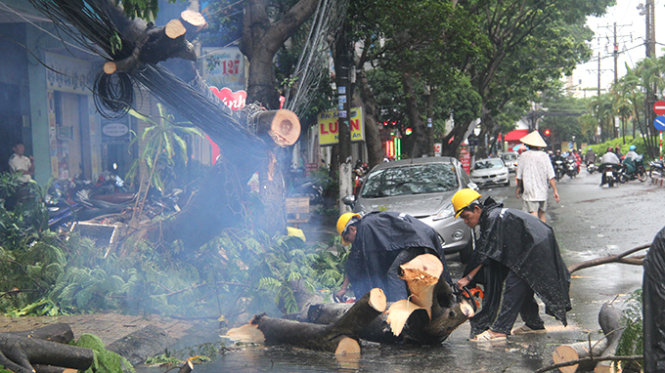 Công nhân xí nghiệp cây xanh 2 khẩn trương giải tỏa hiện trường - Ảnh: Quang Khải