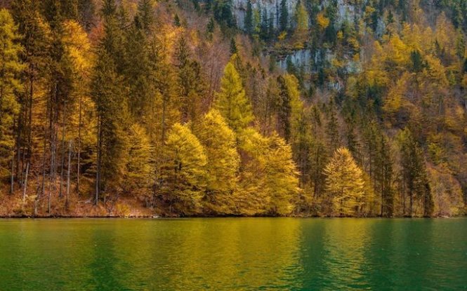 Hồ Bled, Slovenia nằm giữa rừng cây tự hào là hồ đẹp nhất hành tinh. Phía xa là toà lâu đài nằm cheo leo trên vách đá, ngoài ra có một nhà thờ thế kỉ 17 được xâay trên một hòn đảo nhỏ…tạo nên khung cảnh huyền diệu vào mỗi độ thu về - Ảnh: Telegraph