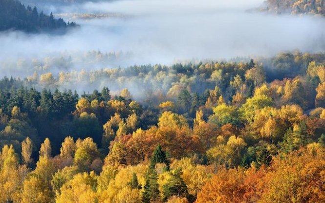 Québec, Canada rực rỡ sắc vàng vào mùa thu - Ảnh: Telegraph