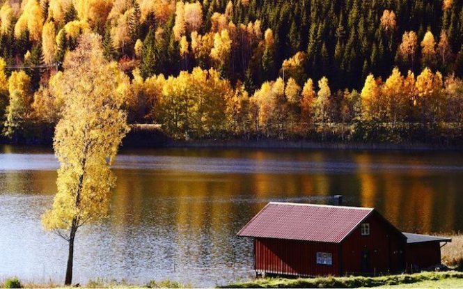 Một nửa đất nước Thuỵ Điển bao phủ bởi rừng, do vậy vào dịp thu về trong khoảng tháng 9, đầu tháng 10…Thuỵ Điển trở thành điểm đến những du khách yêu thích vẻ đẹp mùa thu. Thung lũng Dalarna là sự lựa chọn đầy tinh tế cho du khách - Ảnh: Telegraph