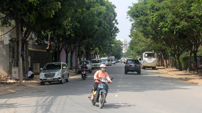 Hàng cây xanh trên đường Nguyễn Văn Hưởng, P.Thảo Điền, Q.2  (TP.HCM) dự kiến phải đốn bỏ để mở rộng đường - Ảnh: Q.Khải