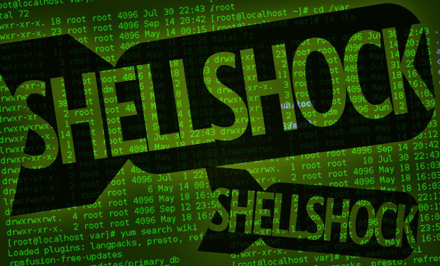 Shellshock đang trở thành mối nguy lớn nhất cho hạ tầng máy chủ và thiết bị mạng - Ảnh minh họa: BankInfoSecurity
