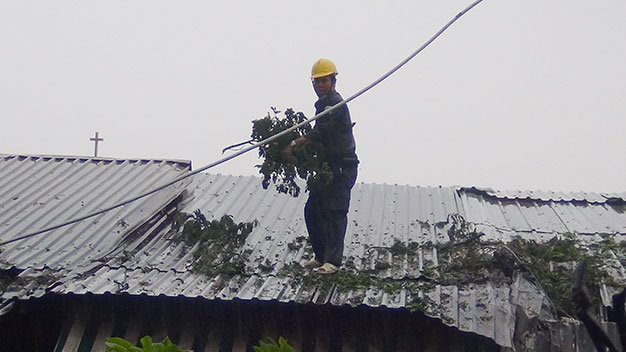 Nhân viên Công ty Cây xanh TP dọn dẹp nhánh cây trên mái nhà dân - Ảnh: Ngọc Khải