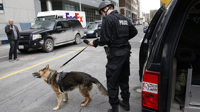 Cảnh sát Canada đưa chó nghiệp vụ vào cuộc điều tra - Ảnh: Reuters