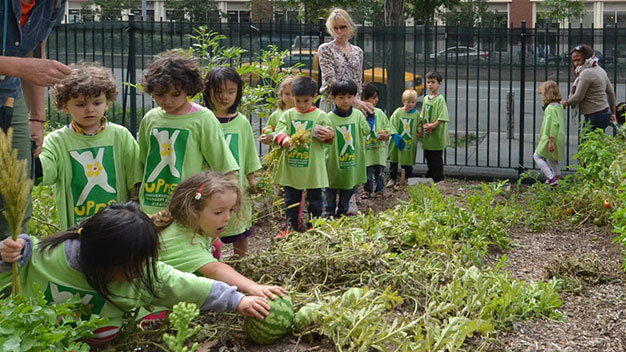 Dùng vườn học dạy trẻ cách sống xanh - Nguồn ảnh: website Trường Steinhardt, một nhánh ĐH New York, Mỹ  (http://steinhardt.nyu.edu)