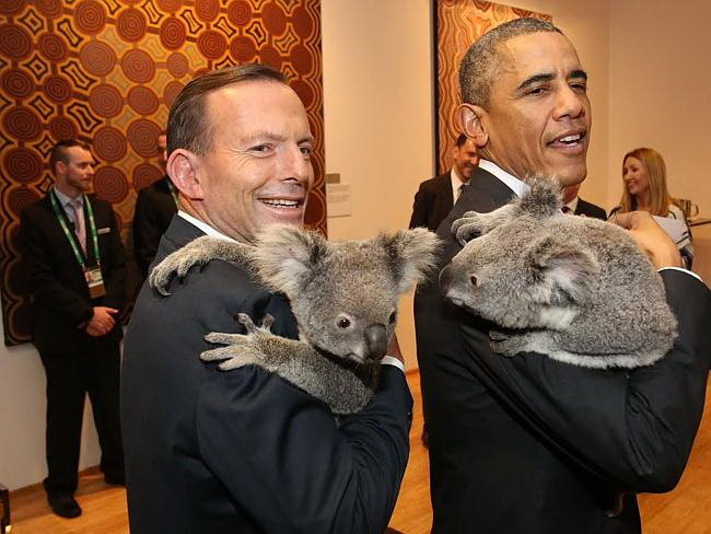 Ông Barack Obama chụp hình cùng Thủ tướng Úc Tony Abbott với chú gấu trên vai - Ảnh: Daily telerapgh