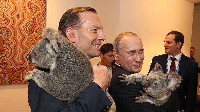 Tổng thống Nga Vladimir Putin tỏ ra thích thú với chú koala - Ảnh: Daily telegraph